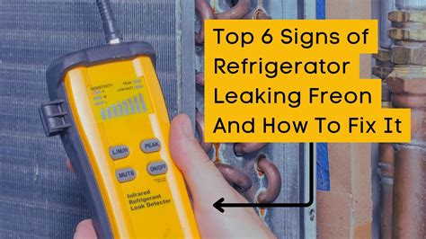 how to fix a freon leak in refrigerator|Signs of Freon Leak in Refrigerator; Here’s How to Fix